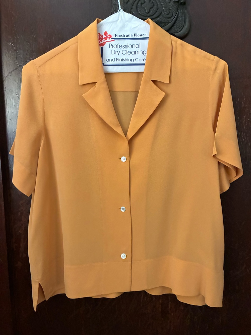 VGUC Everlane Size 2 Clean Silk Notch Collar Short Sleeve Shirt